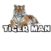 original sound - tiger.man527