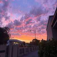 couzens_breed67
