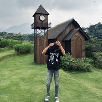 aryxstyaaa