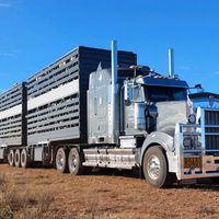 morristransport1