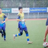 arfifi._2008