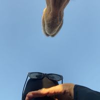 tamrah_287