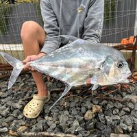 dks.fishing