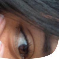 dani336550