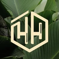 hostelhoneycomb