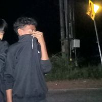 suara asli - Xesol