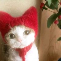 original sound - 🍓strawbbabiess_🐰