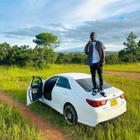 davidintmotors