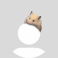 오리지널 사운드 - 🐰🦊🐻🐿️🐧💗MOA💗