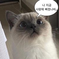 오리지널 사운드 - 훈이