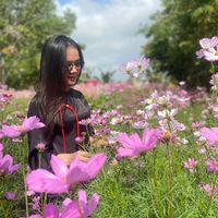nhạc nền - 🪫1%