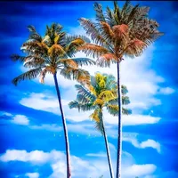 original sound - diljale680luvsangrybird