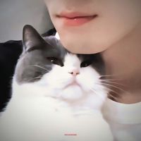 vuongdaodongtongtaidi