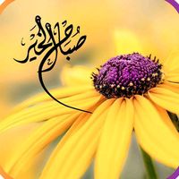omar_2024_omar1