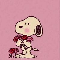 dana_clips