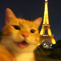 original sound - Aki🗣️