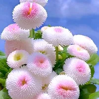 original sound - user3563839383670