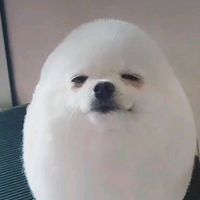 original sound - kreemeekookie