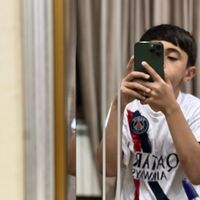 tata_313_