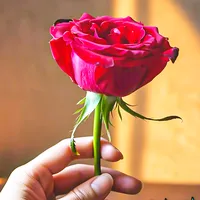 original sound - yameenmemonpage