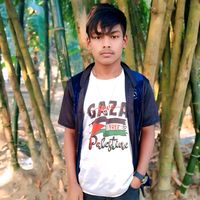 user33273760179