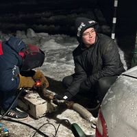 оригинальный звук