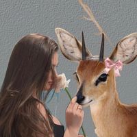 الصوت الأصلي