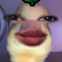 suara asli - dekz__berry🫐