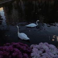 333_ra