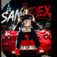 samdex1.6