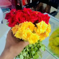 md.furkan.ahmed00