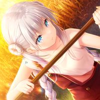 spica_tsujikura