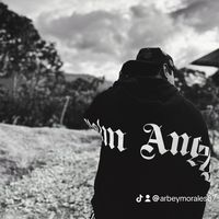 arbeymorales87