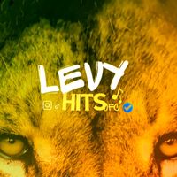 levy_hitsofc