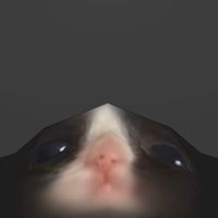 namfon_wannaz