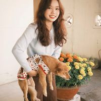 nhạc nền - Bắp - Ngọc
