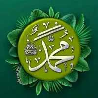 بركه المدينه