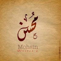 mohsinwrites1120