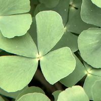 nhạc nền - Bita444