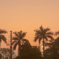 nhạc nền - Gọi tắt là bồ anh💐🫰