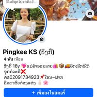 pingkee2008