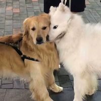 เสียงต้นฉบับ - Jaojane