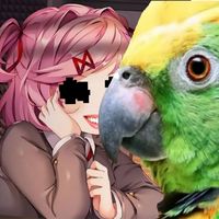 glitch_natsist