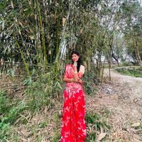 nikitamirdha37