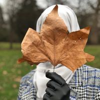 شرايك نسافر