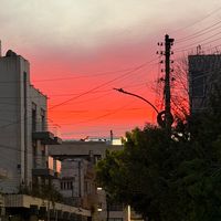 خاص ل عشاق الورق عنب