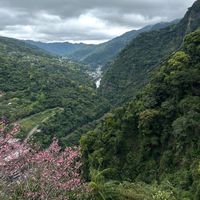 原声 - King's kk
