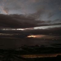 marijladino