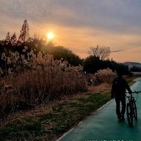 오리지널 사운드 - 🌴