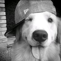sammyieee1